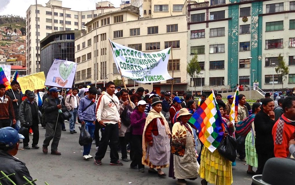 Cocaleros toman control de mercado de coca tras fuertes choques con la policía en Bolivia
