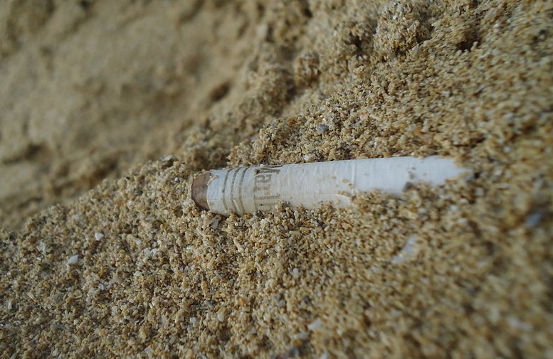 Los productores de tabaco deberán recoger los filtros de los cigarrillos desde el día 6