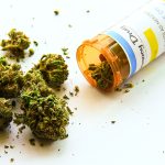 cannabis