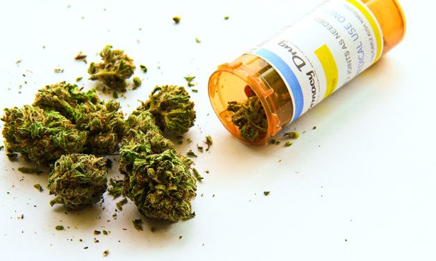 Sanidad deja los cogollos de marihuana fuera de su proyecto de regulación del cannabis medicinal