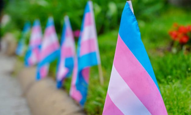 Una investigación en el Reino Unido pretende encuestar a más de 400 personas trans sobre su relación con el consumo de alcohol