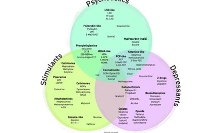 Drugs Venn: un nuevo método de clasificación de drogas