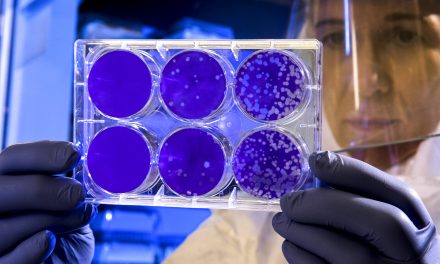 El cerebro se puede resetear genéticamente para curar la ansiedad y la adicción al alcohol