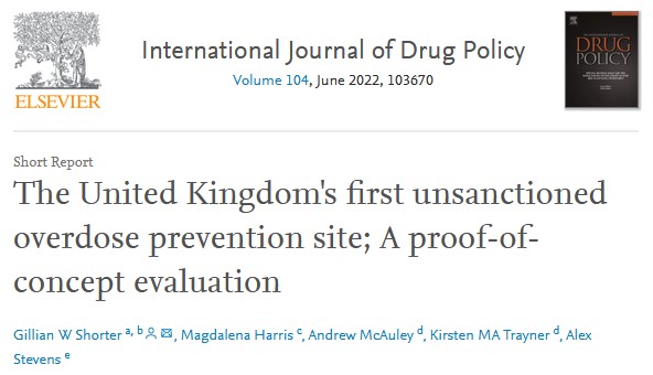 El primer sitio de prevención de sobredosis no autorizado del Reino Unido; Una evaluación de prueba