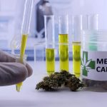 cannabis
