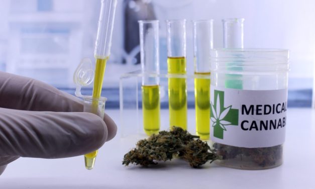 Abren once consultorios de cannabis medicinal en centros de salud públicos rosarinos – Argentina