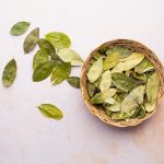 coca