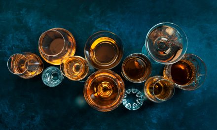 Investigadores del CEU diseñan un compuesto para prevenir el daño del alcohol en el cerebro adolescente