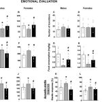 El cannabidiol repara daño cerebral y alteraciones de conducta en ratones con TEAF, según un estudio