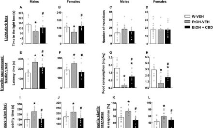 El cannabidiol repara daño cerebral y alteraciones de conducta en ratones con TEAF, según un estudio