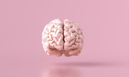 Dos estudios fijan el papel del sistema endocannabinoide en epilepsia y cáncer de mama