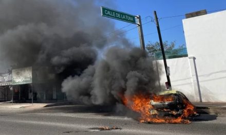 Las víctimas de Sinaloa: el costo de capturar a Ovidio