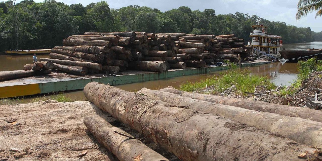 La legalización de drogas y la crisis climática: Una alianza urgente