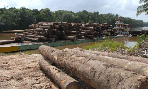 La legalización de drogas y la crisis climática: Una alianza urgente