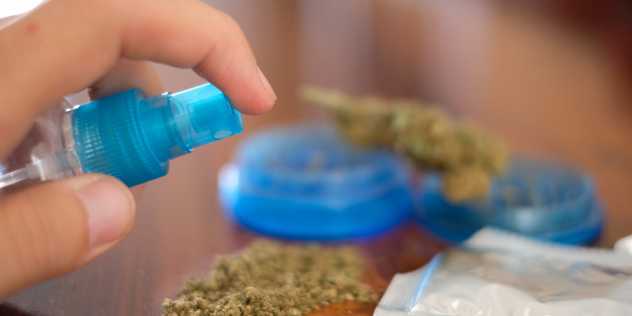 Los cultivadores de cannabis en Marruecos salen de la clandestinidad