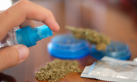 Los cultivadores de cannabis en Marruecos salen de la clandestinidad