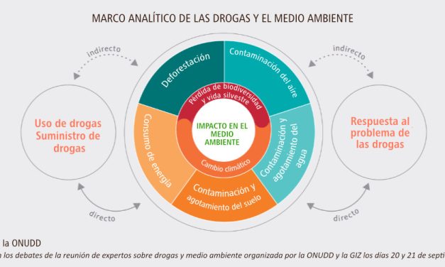 El impacto de las drogas en el medio ambiente