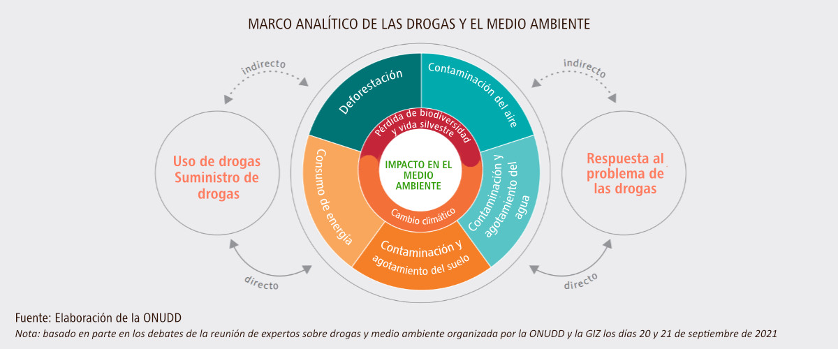 El impacto de las drogas en el medio ambiente