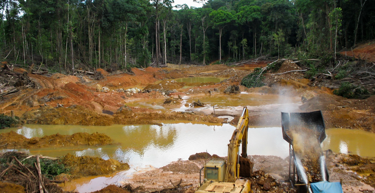 Más allá del viaje: desafíos clave que debe enfrentar la industria psicodélica