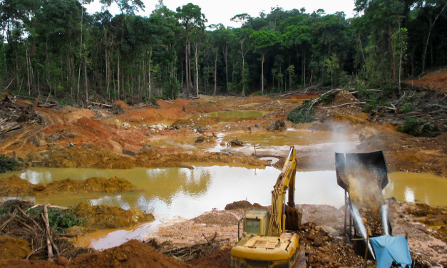 Colonialismo interno, drogas prohibidas y daño ambiental