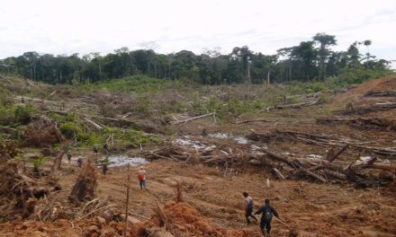 Comunidad nativa peruana implementa sistema de alerta para combatir violaciones de derechos humanos