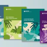Informe 2024 UNODC
