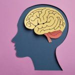 cerebro adicción