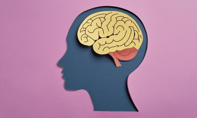 El craving en el alcoholismo: en busca del origen neuronal