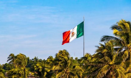 De narcos a terroristas: Trump impone a México un nuevo paradigma en la guerra contra las drogas