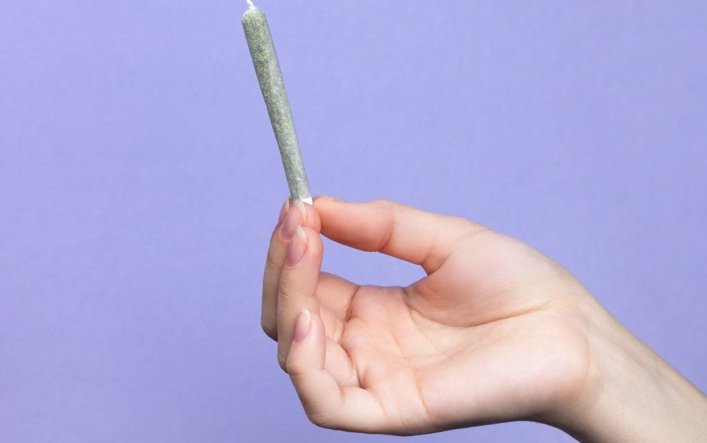 «Cuando prohibimos las drogas, comienza el problema. No en las sustancias, sino en la relación de las personas con ellas»