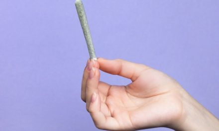 «Cuando prohibimos las drogas, comienza el problema. No en las sustancias, sino en la relación de las personas con ellas»