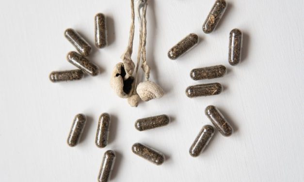 Drogas psicodélicas, una revolución científica del laboratorio al diván