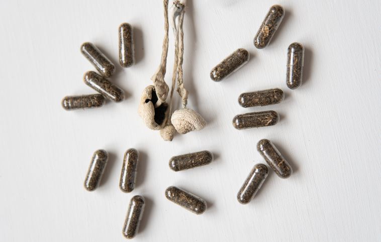 Drogas psicodélicas, una revolución científica del laboratorio al diván