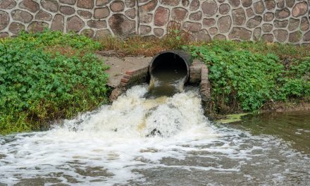 Formación técnica para el análisis de drogas en las aguas residuales